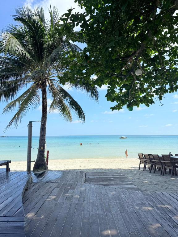 Beach, Dreamland Resort in Ko Pha-ngan