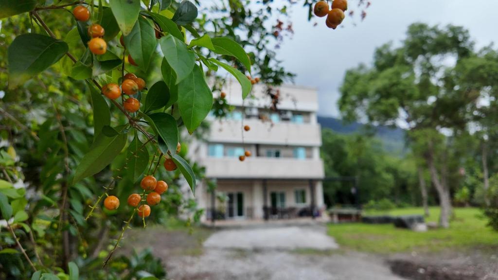Shu Hai Cui Hu Homestay