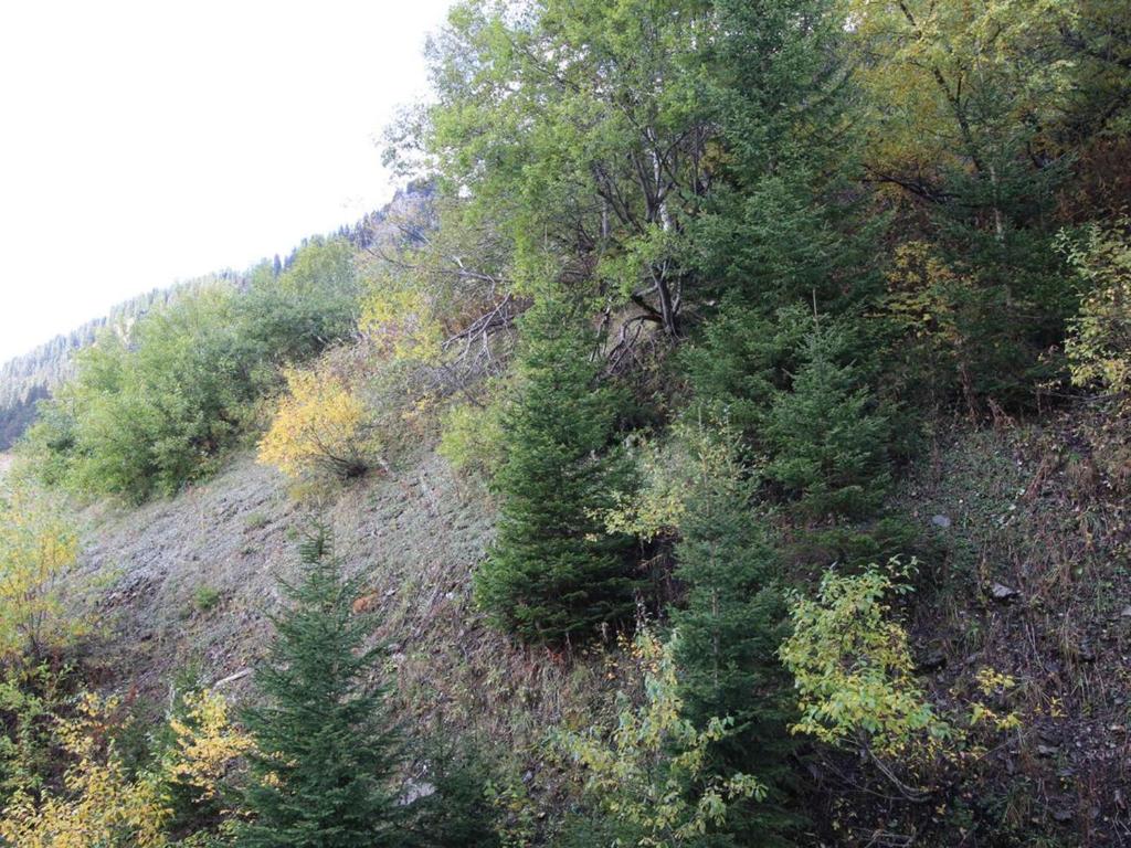 Studio rénové 4 pers, Résidence Andromède, Flaine Forêt, à 300m des pistes et 140m des commerces - FR-1-687-26 - 3