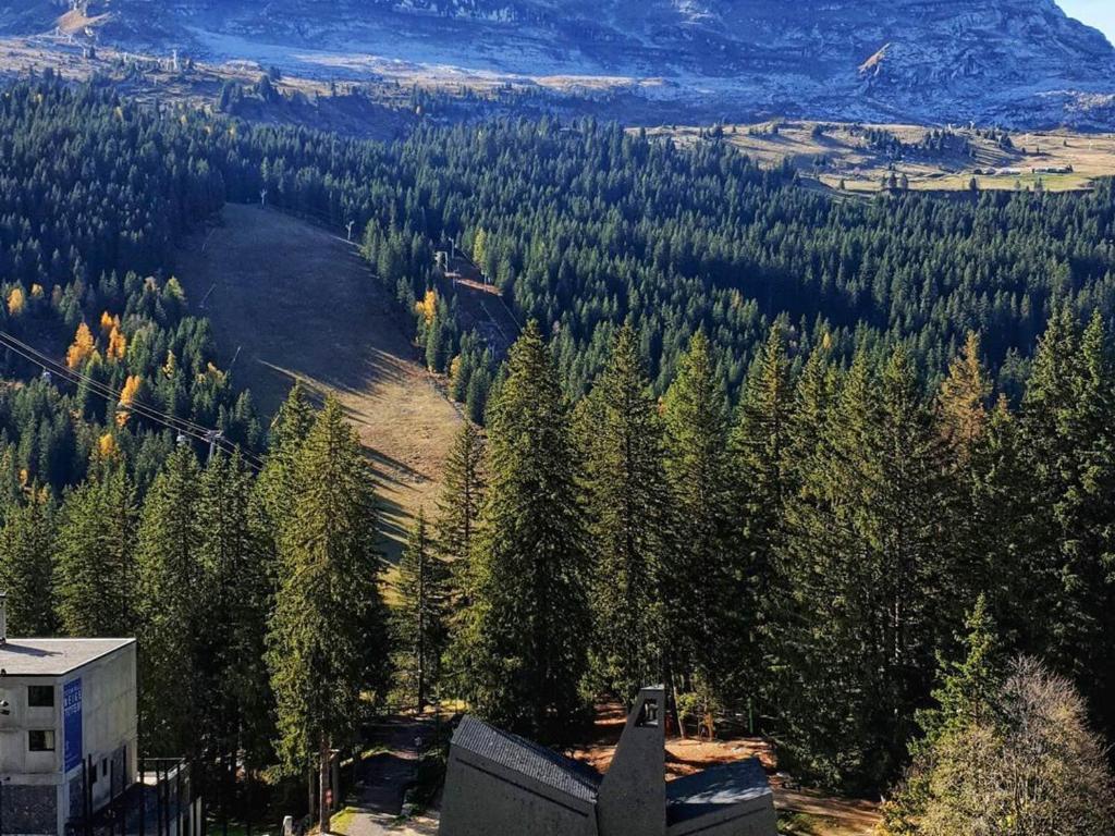 Appartement 3 pièces, 8 pers, Résidence Cassiopée, Flaine Forum, à 50m des pistes et commerces - FR-1-687-87 - 2