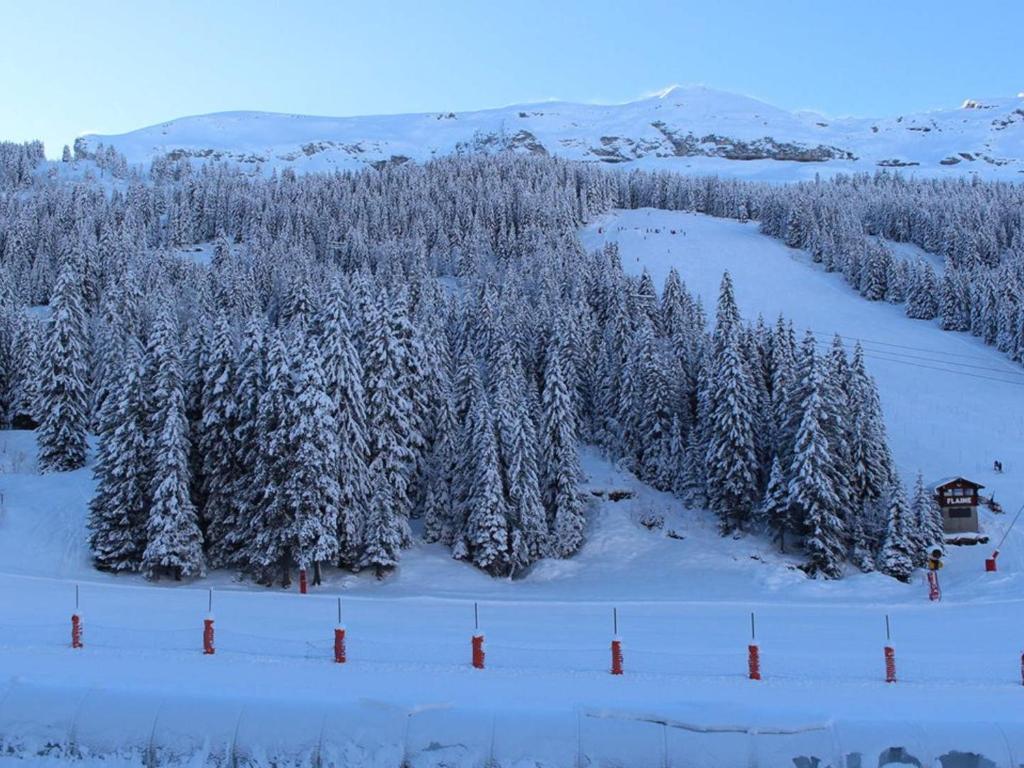 Studio idéal pour l'hiver au pied des pistes - FR-1-687-112 - 3
