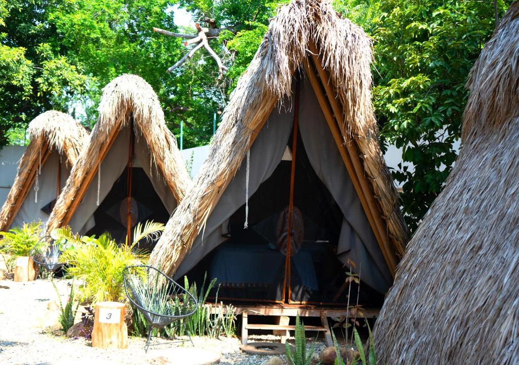 Tribu Tipis & Surf - 3