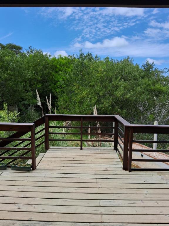 Valle de la luna - 2