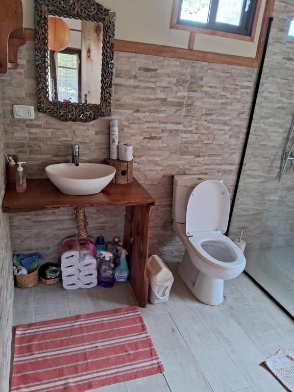 Valle de la luna - 4