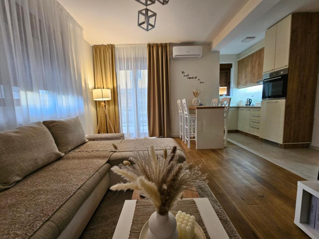 Apartman Emma Vrnjačka Banja - 1