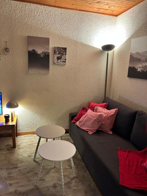 RISOUL - Les Airelles - 6 à 8 couchages - Rue principale/ commerçante - 2