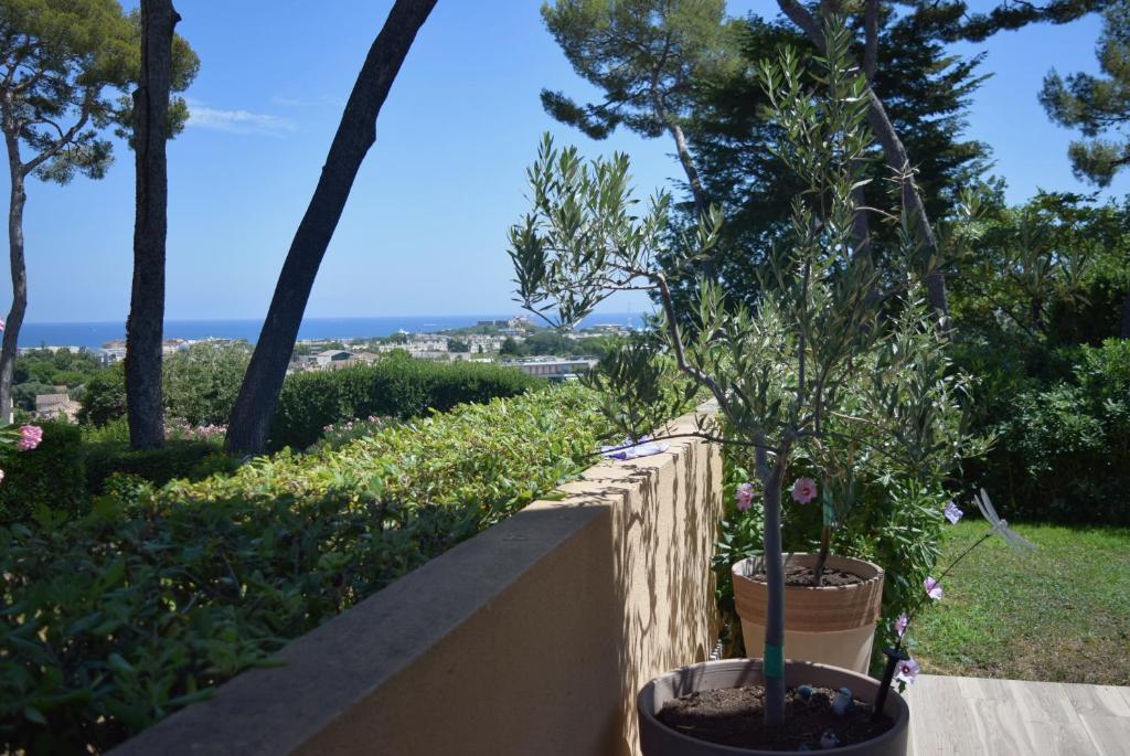 Vue mer rez-de-jardin piscine - 2