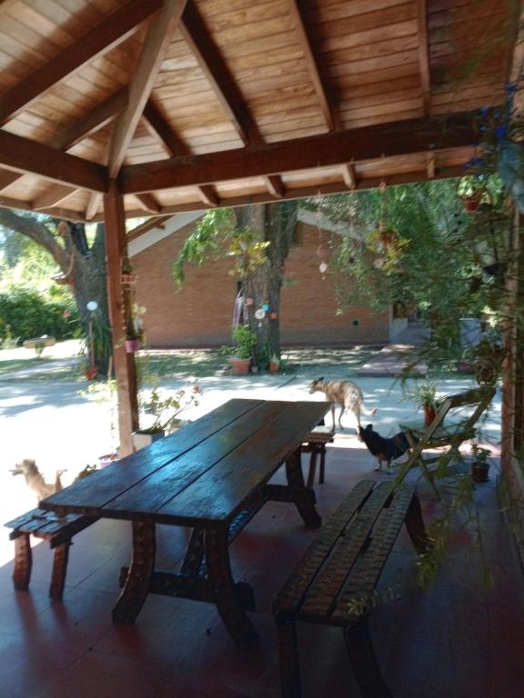 Chalesito de Relax - 3