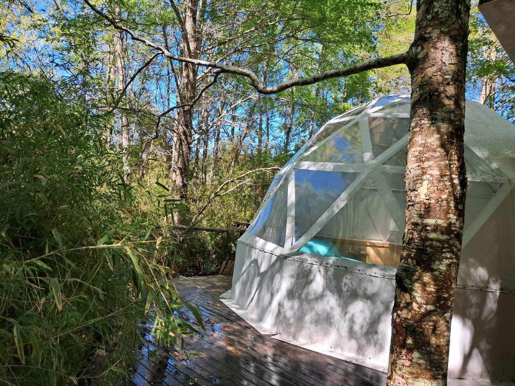 Domos Conguillío - Glamping Domo - 1