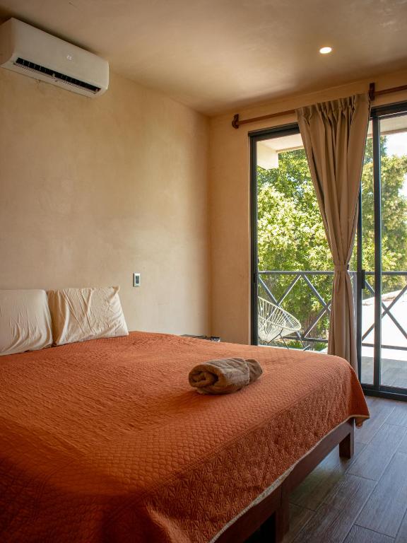 Villas Mandarina Bacalar - 5