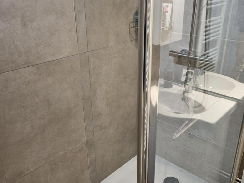 Studio Cabine F4 en Station Ski - 200m des Pistes - FR-1-687-118 - 5