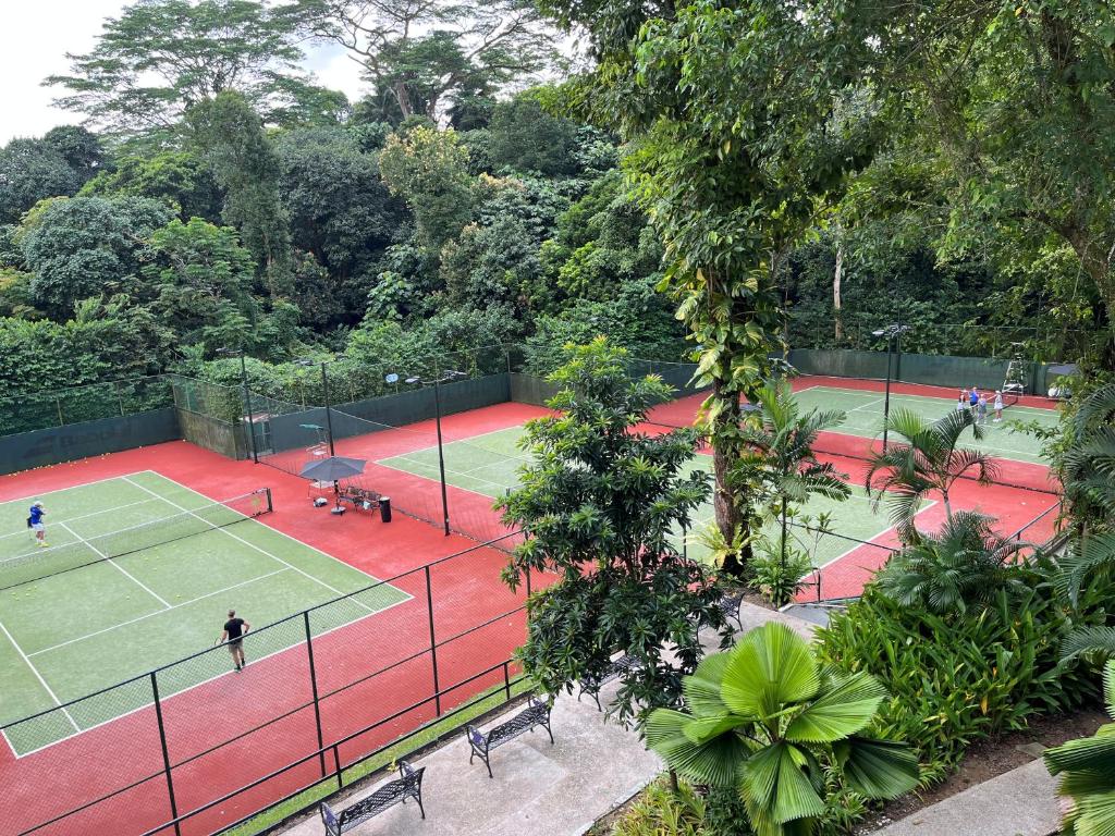 Tennis court
