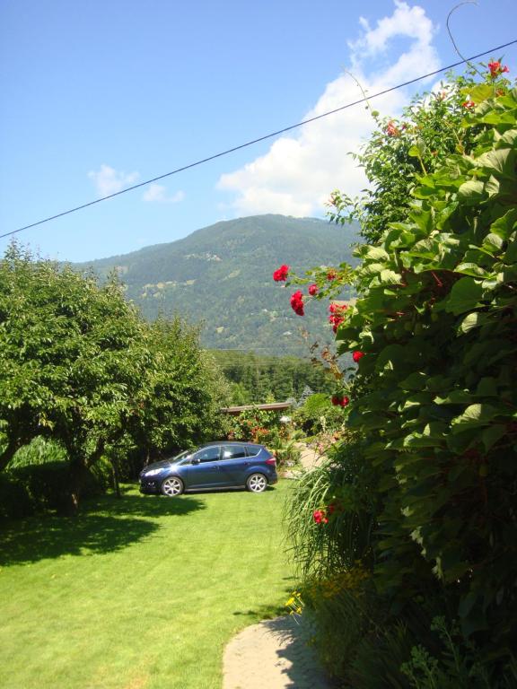 Blumenpension Strauss - Ferienwohnungen - 3