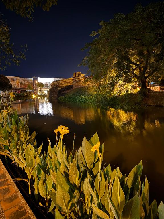 アクティビティ