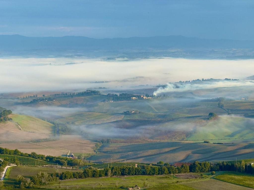 CORNER NEST IN MONTALCINO - 4