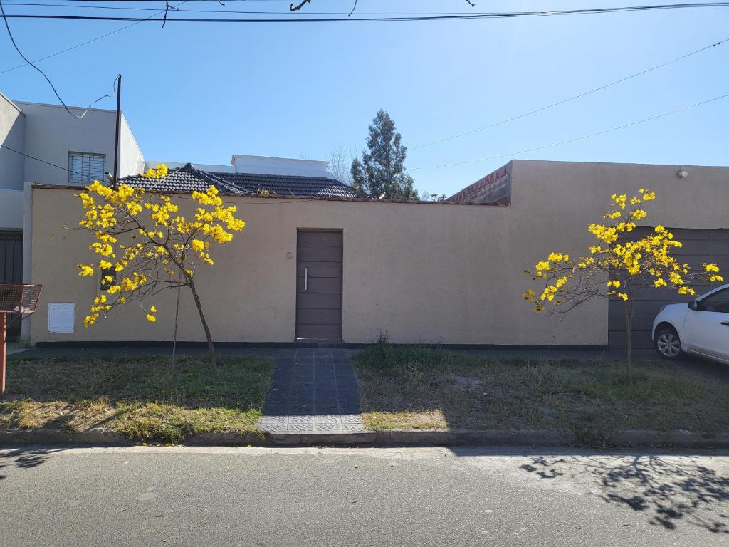 La Casa de los Arboles - 1