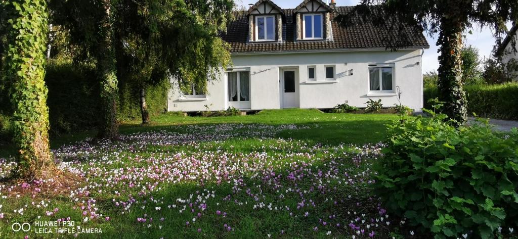 Cosy la Riveraine Cottage - 1