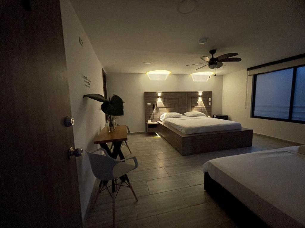 ZOI Eco Hotel y Glamping - 4