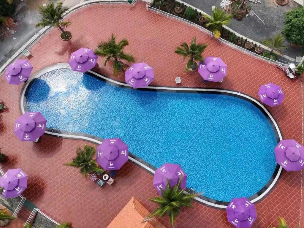 スイミングプール