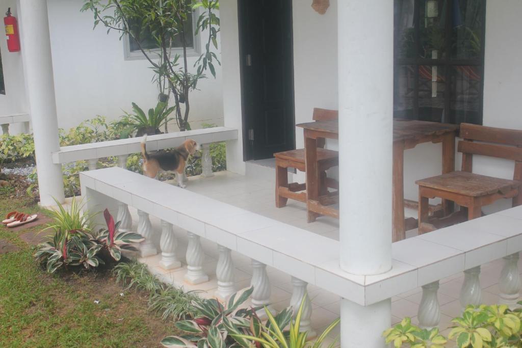 Privacy Resort photo