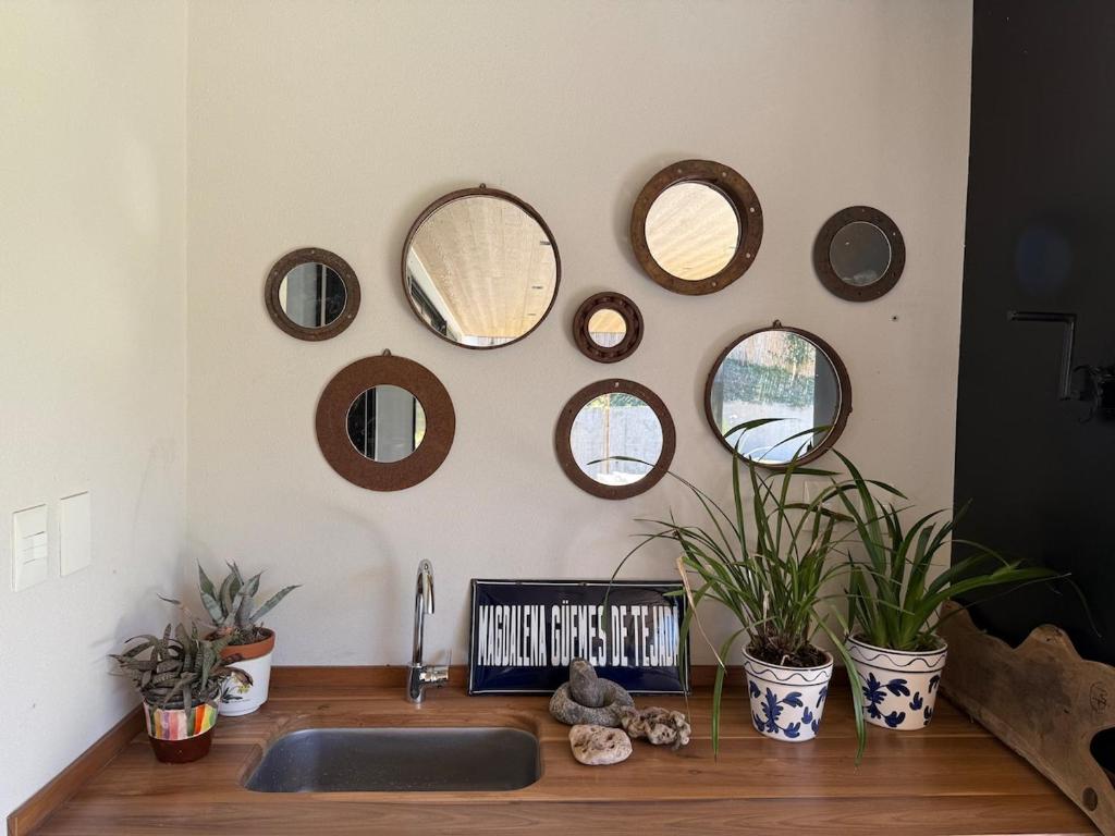 Cozy and bright house in Salta! - 3