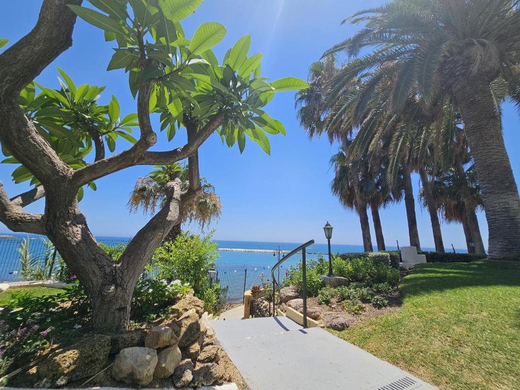 Apartamento en Benalmádena en la playa con piscina Frontal al mar - 4