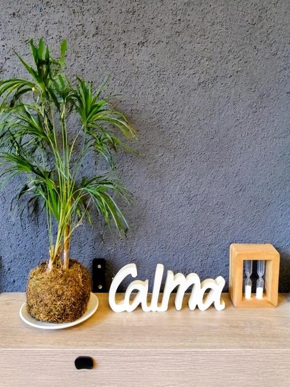 Plaza Independencia - 4