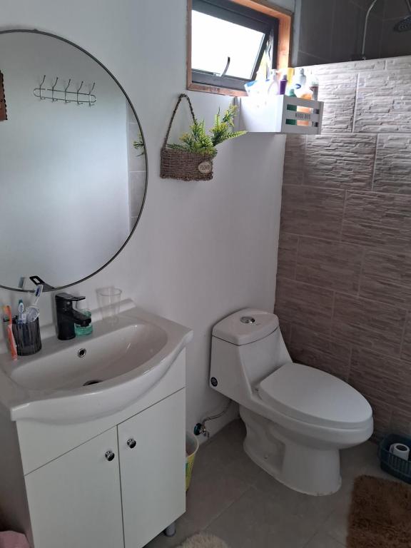 Bosque Monteverde - 4