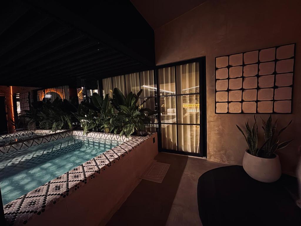 rosa house - 1