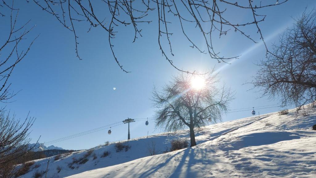 CAV MES VALLEES Torgnon Vda - 2