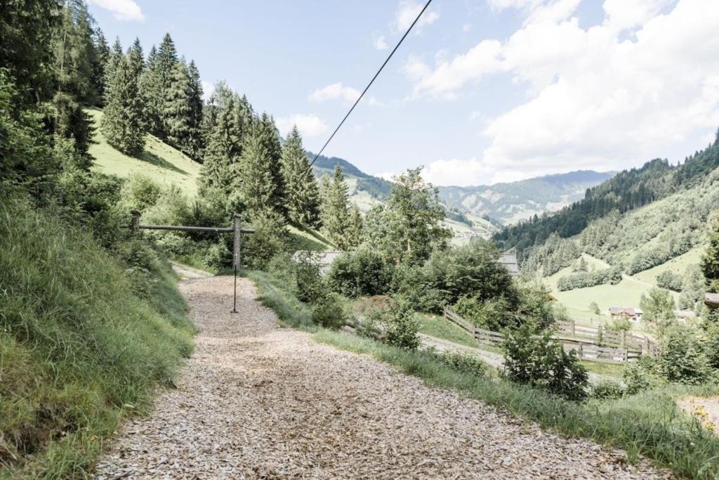 Chalet Almrausch - 5