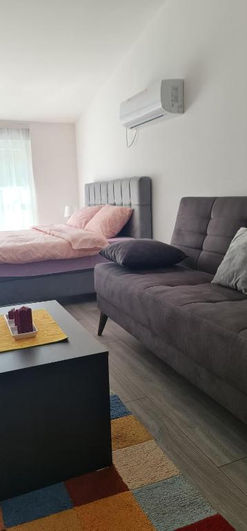 Studio apartmani Banja Koviljaca - 3