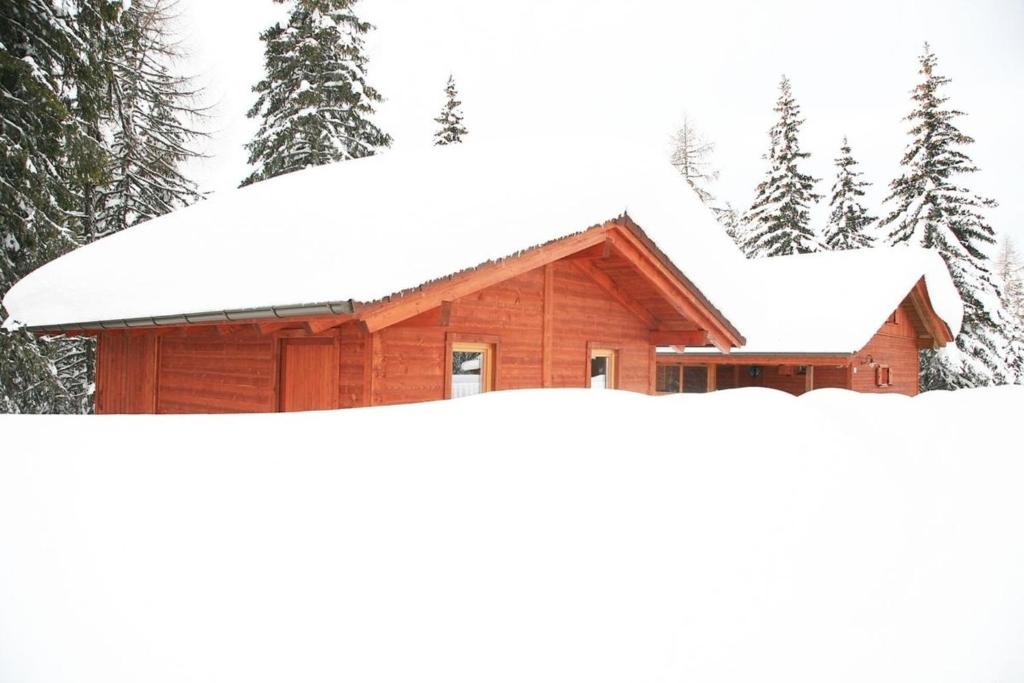 Alpine-Lodges Theresia - 4