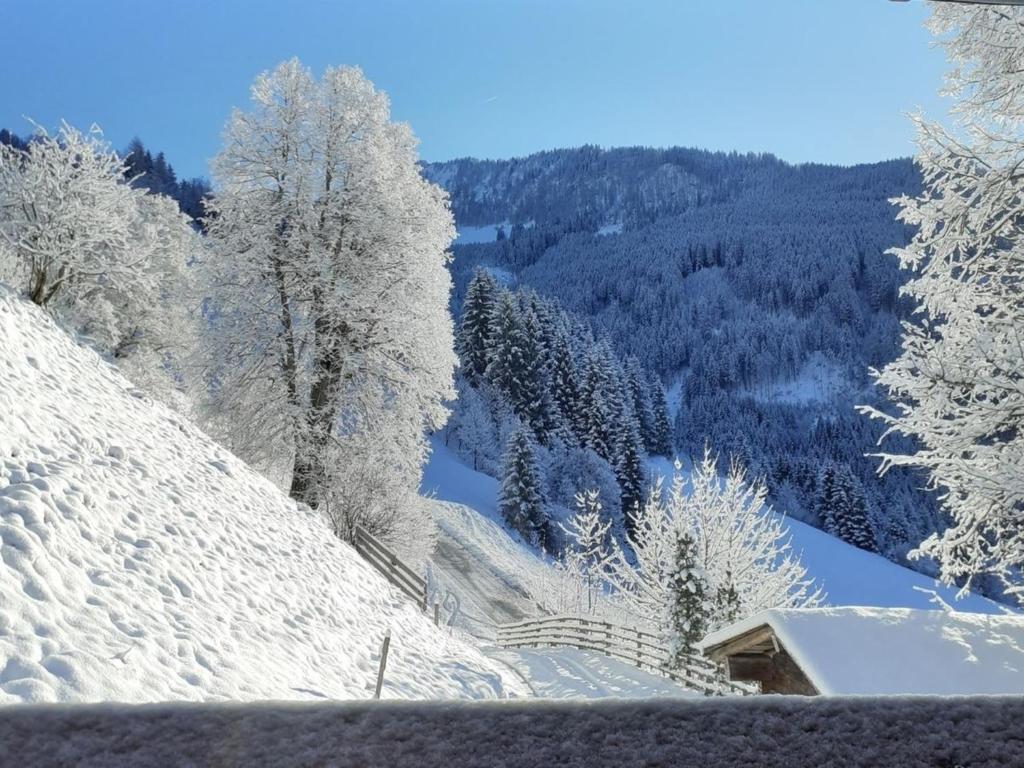 Schlickhütte - 2
