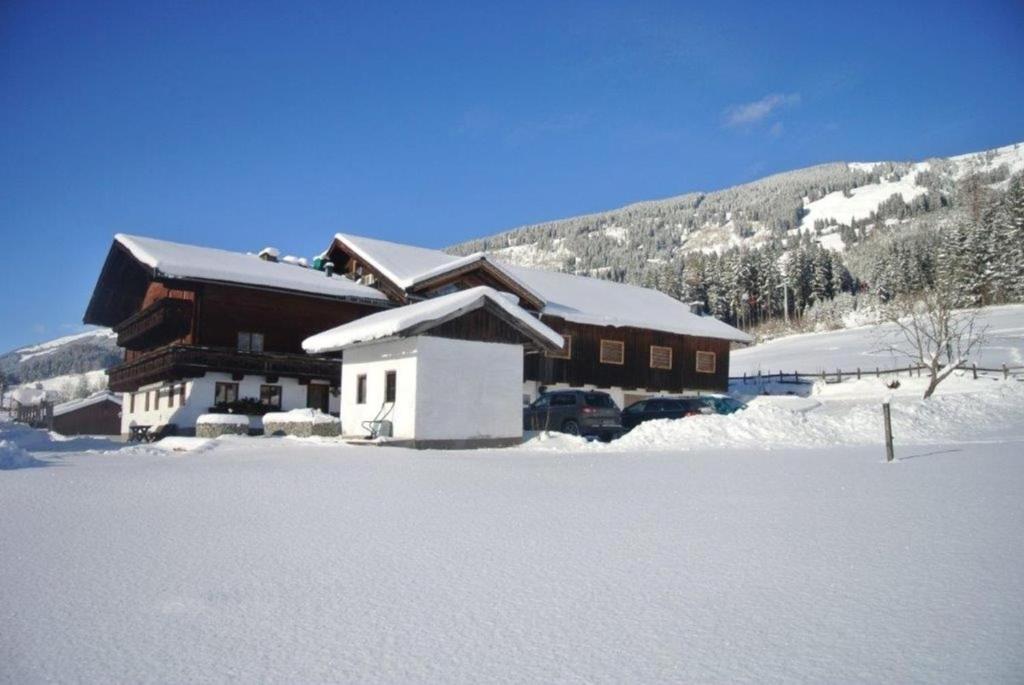 Bauernhaus Hollersbach - 2