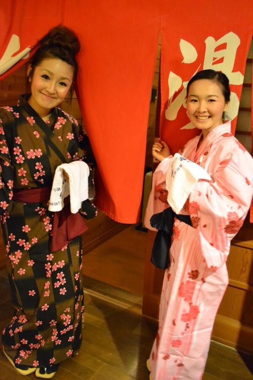 Hishino Onsen Tokiwakan photo