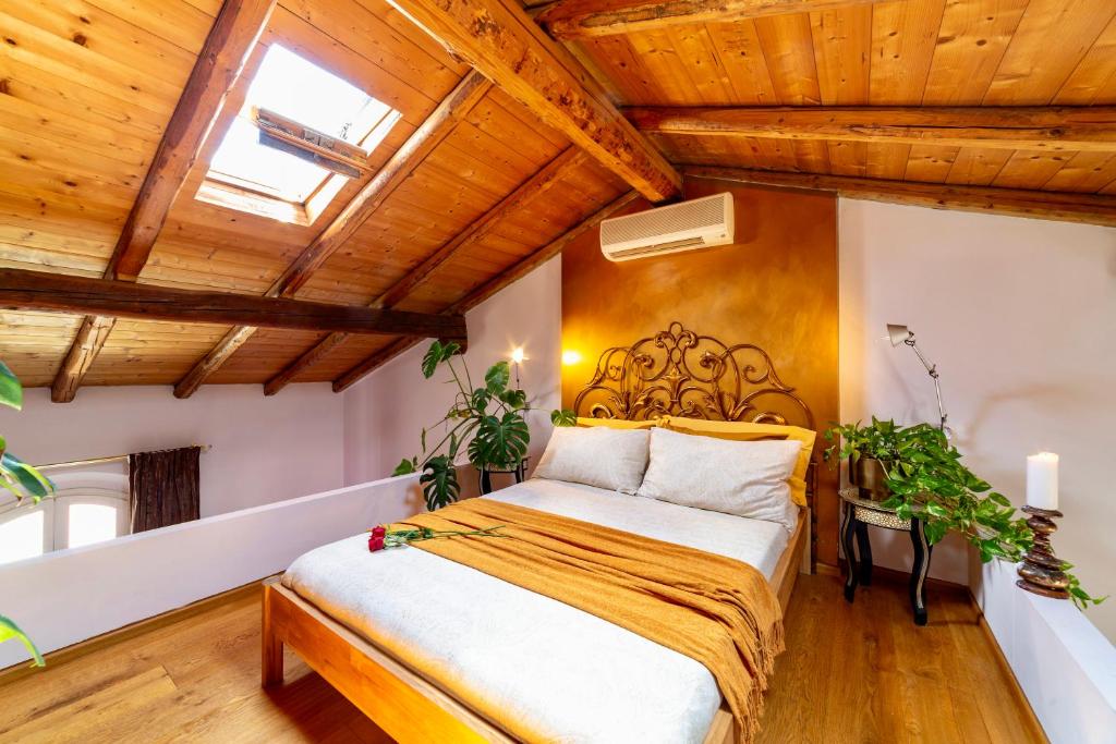 House of Alchemy - Albedo - San Luca - 2