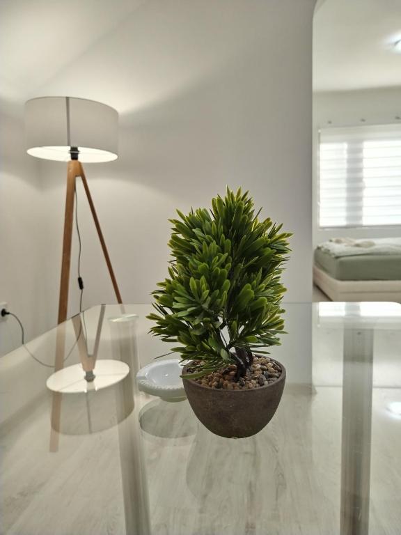 Studio Andrijana Sokobanja - 2