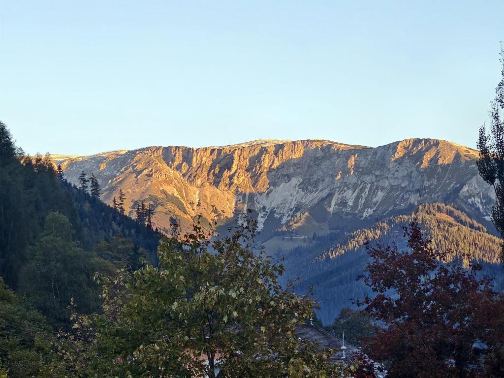 Die Villa - 3