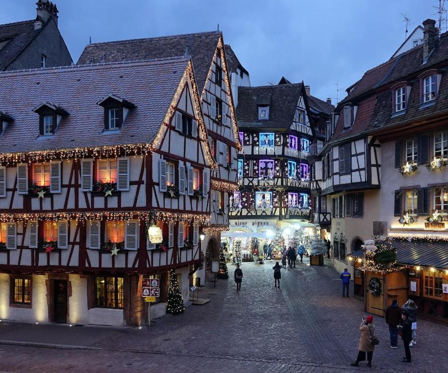 le nid des tanneurs Colmar centre - 5