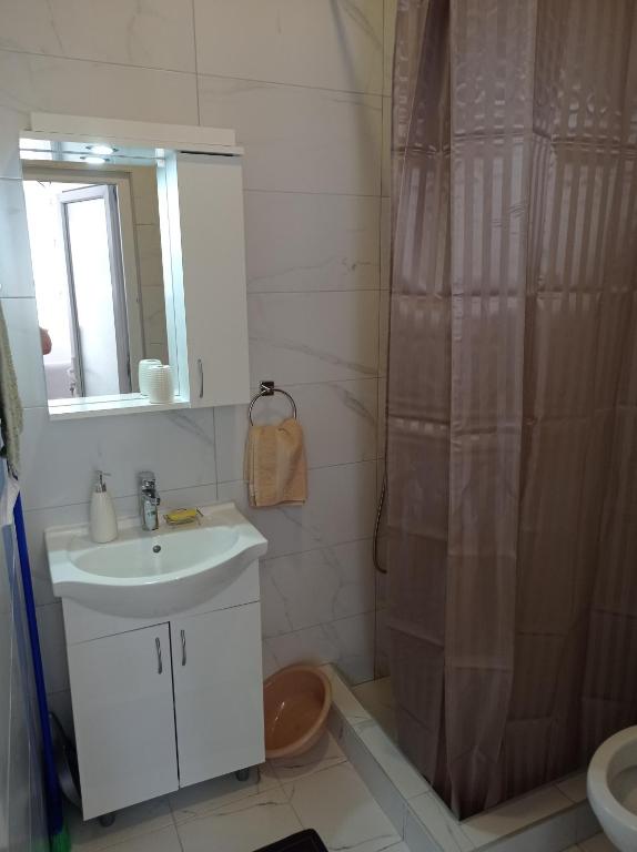 Apartman Mitic - 5