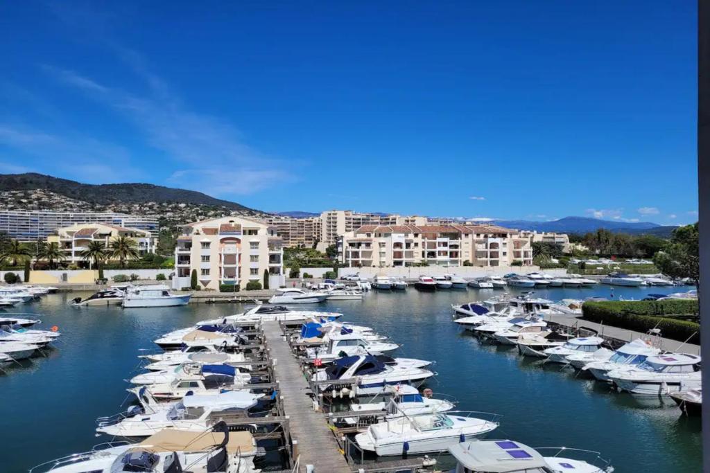 Ginkgo Studio - piscine, proche de la mer, Golf, WIFI - 2
