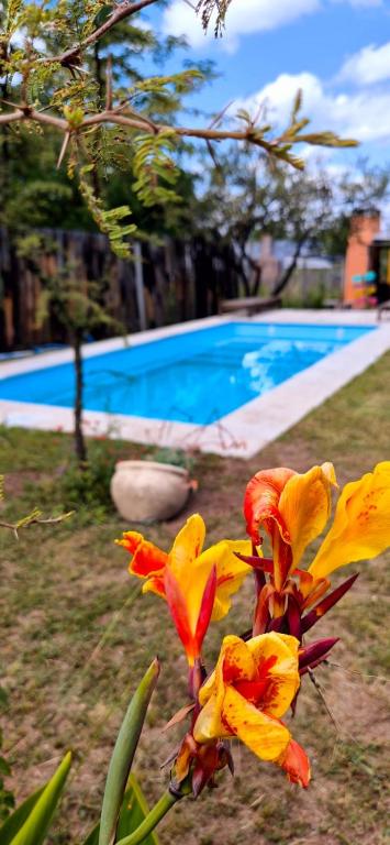 Casa de Amigos - Chañar - 2