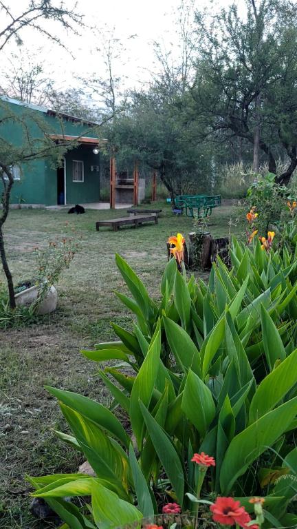 Casa de Amigos - Chañar - 4