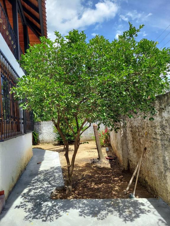 Casa Bella - 5