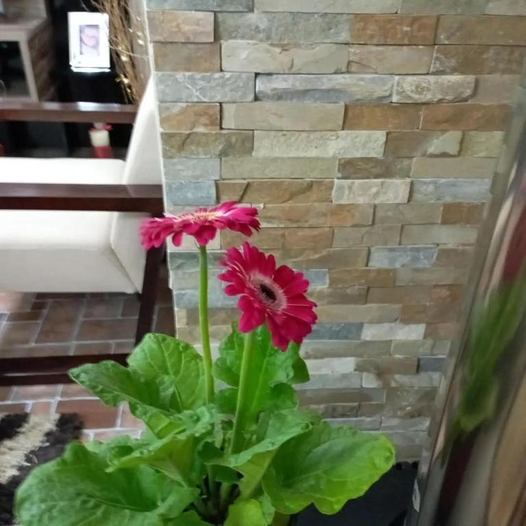 Casa castro chiloe - 3