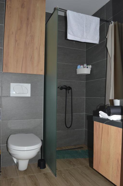 Deluxe Mountain View Studio ViS in Residence Hill Hotel Kopaonik - 4