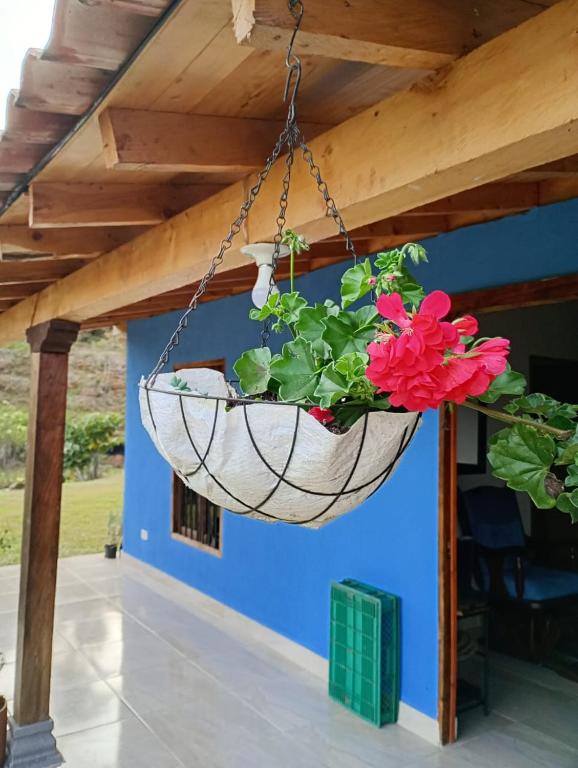 Finca y camping El Oasis - 3