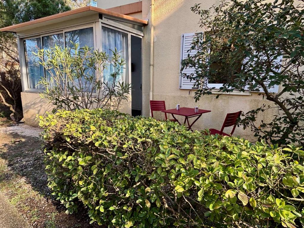 Appartement studio 2 couchages ARGELES SUR MER AR450-1002 - 3
