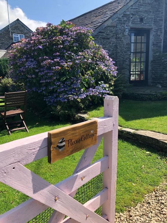 Plover Cottage at Trenale Court Cottages photo 6